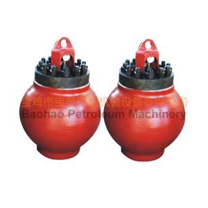 Turvapadi Assamblee (põied)